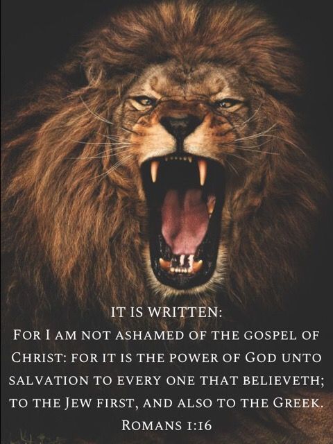 Unleash the Lion within - Carl Joseph Ministries